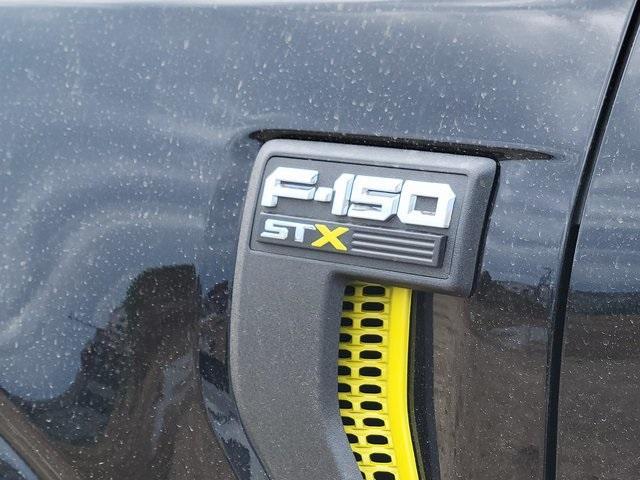 new 2025 Ford F-150 car, priced at $49,313