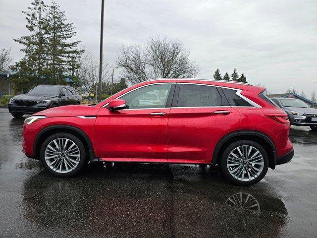 new 2024 INFINITI QX50 car, priced at $57,615