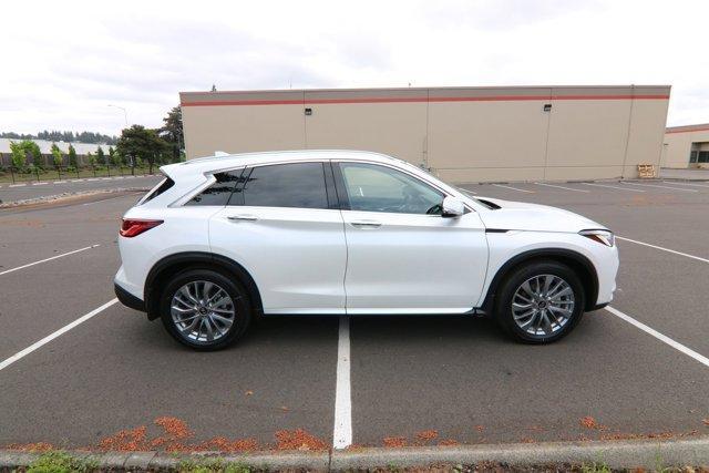 new 2024 INFINITI QX50 car, priced at $46,855