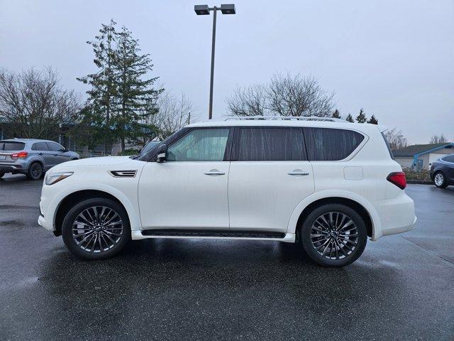 used 2023 INFINITI QX80 car, priced at $59,950