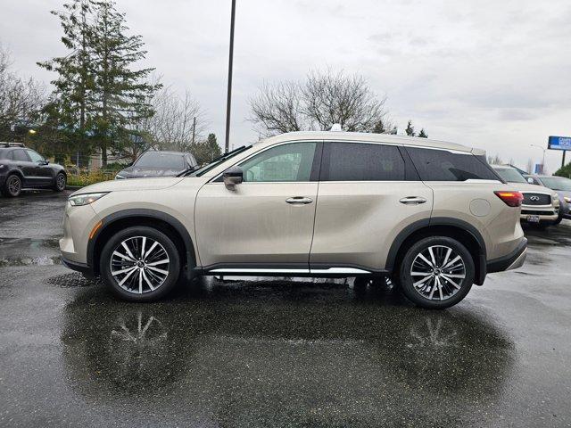 new 2024 INFINITI QX60 car, priced at $59,975