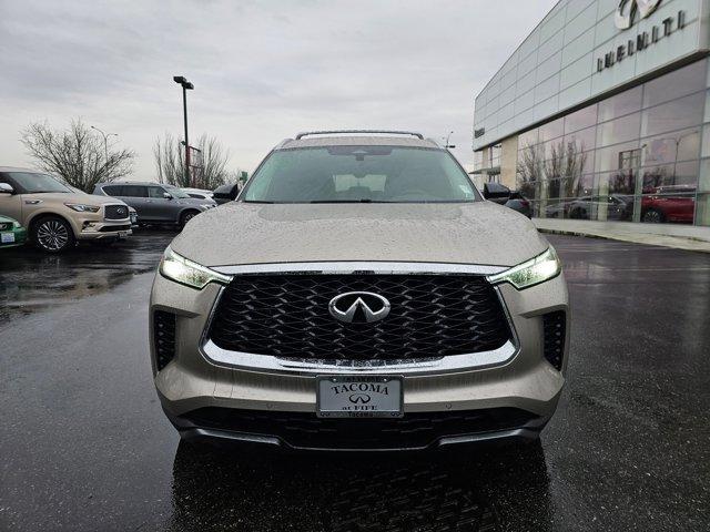 new 2024 INFINITI QX60 car, priced at $59,975