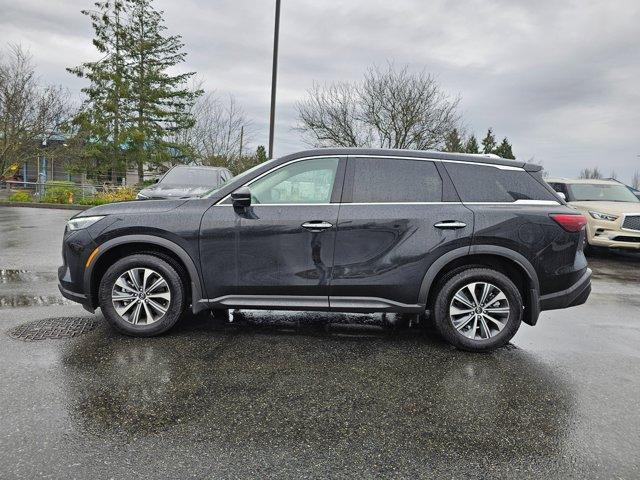 new 2024 INFINITI QX60 car, priced at $46,270