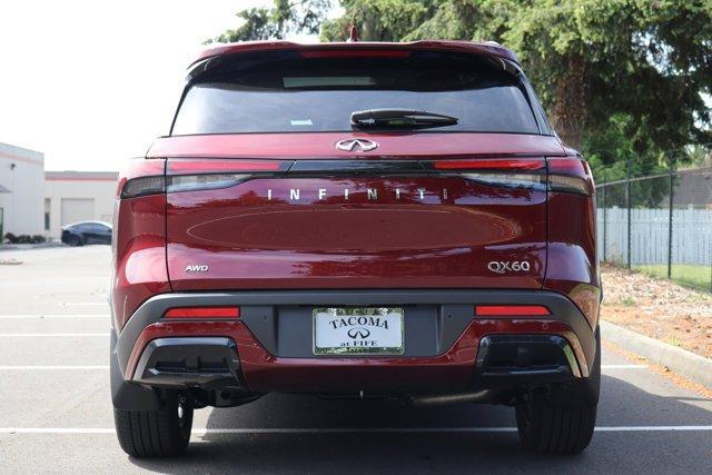 new 2024 INFINITI QX60 car, priced at $55,925