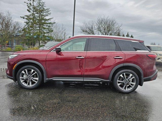 new 2024 INFINITI QX60 car, priced at $56,425