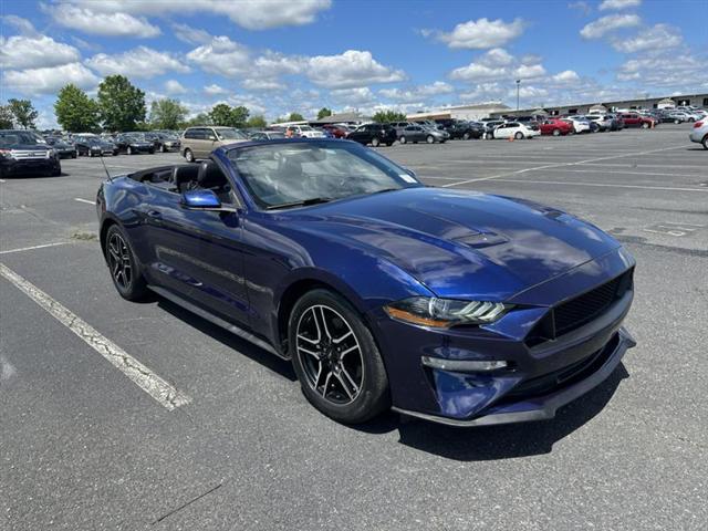 used 2019 Ford Mustang car, priced at $19,995