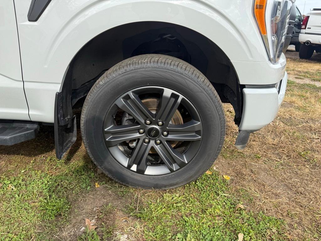 used 2023 Ford F-150 car, priced at $33,995