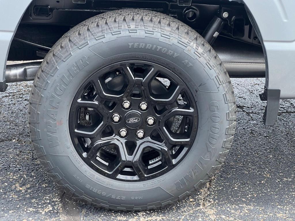 new 2025 Ford F-150 car