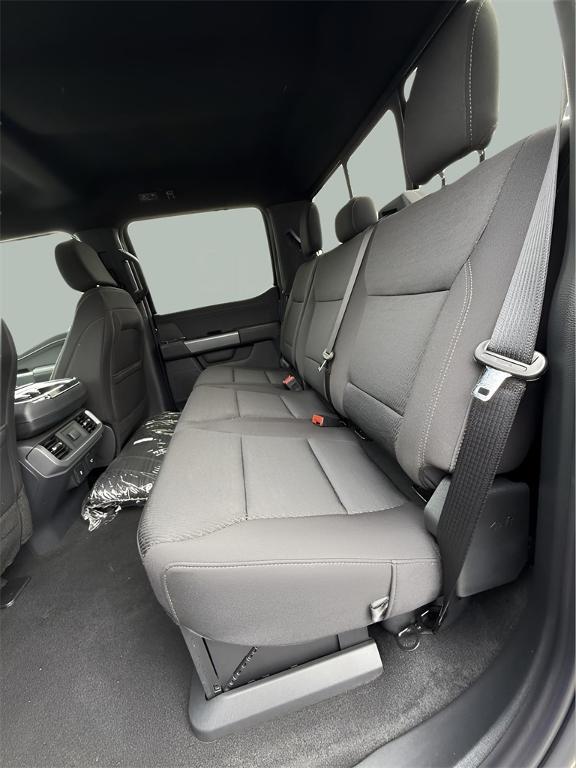 new 2025 Ford F-150 car, priced at $66,100