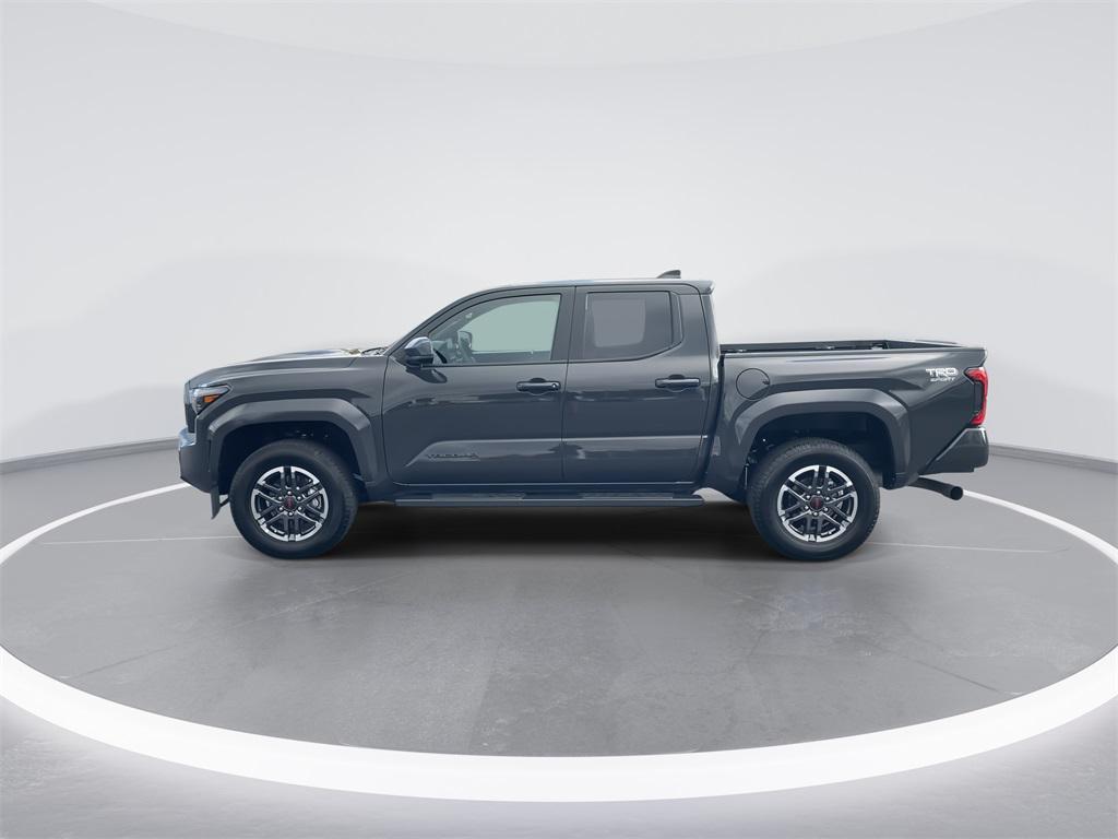 used 2025 Toyota Tacoma car
