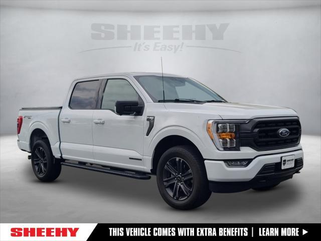 used 2023 Ford F-150 car, priced at $41,500