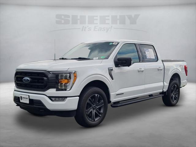 used 2023 Ford F-150 car, priced at $41,500