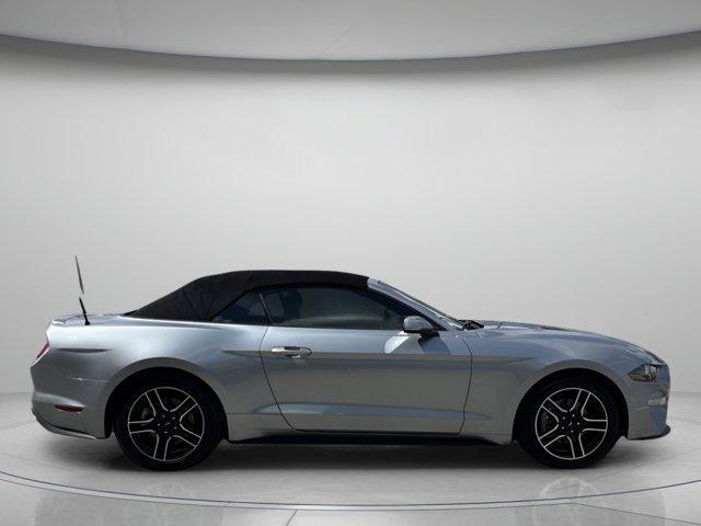 used 2023 Ford Mustang car, priced at $24,429