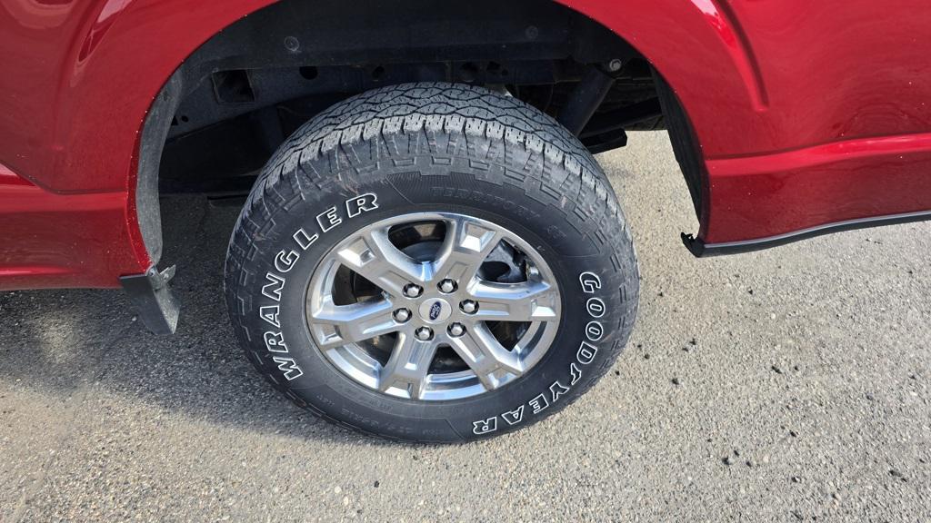 used 2021 Ford F-150 car