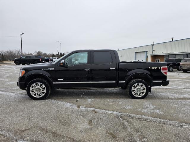 used 2013 Ford F-150 car