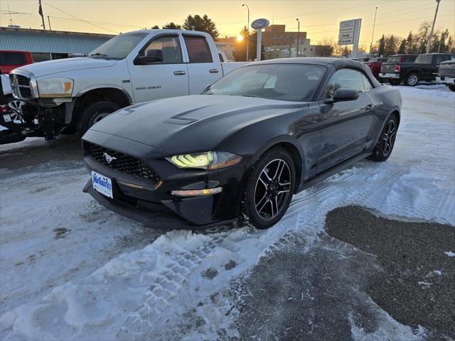 used 2022 Ford Mustang car, priced at $24,623