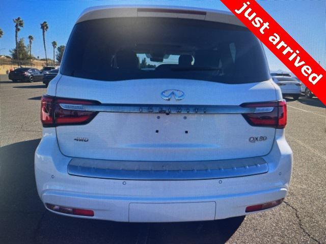 used 2023 INFINITI QX80 car, priced at $53,000