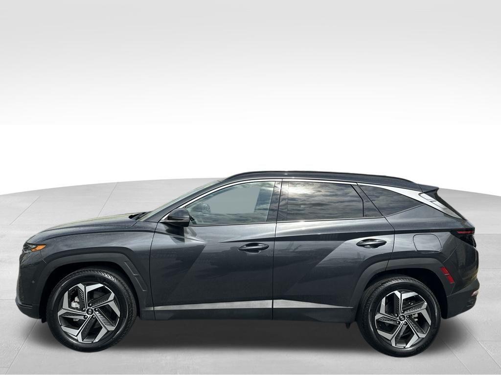 used 2024 Hyundai Tucson car, priced at $28,985