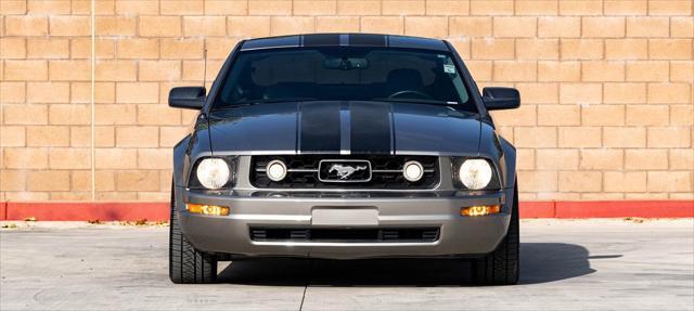 used 2009 Ford Mustang car, priced at $13,099