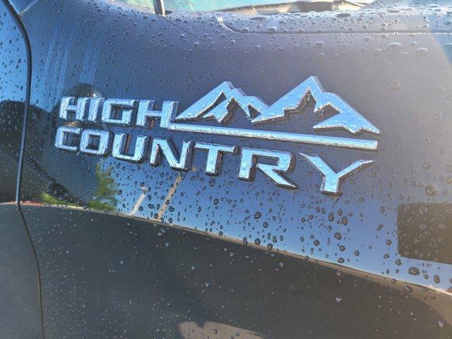 used 2024 Chevrolet Silverado 1500 car, priced at $59,500