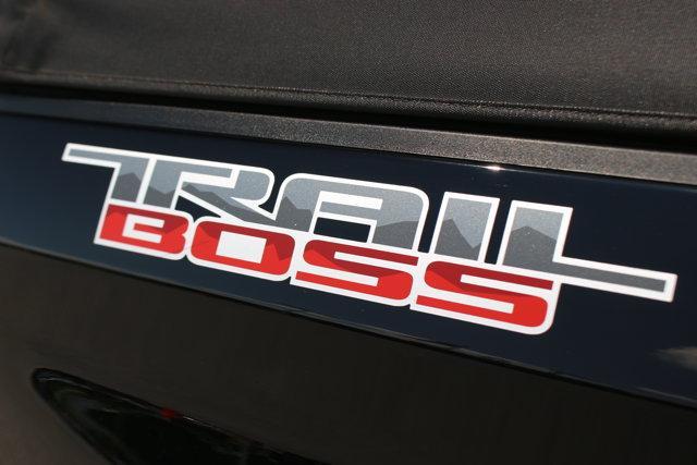 used 2024 Chevrolet Silverado 1500 car, priced at $44,000