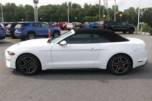 used 2021 Ford Mustang car, priced at $19,000