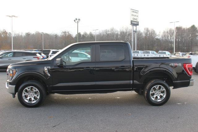 used 2023 Ford F-150 car, priced at $37,000