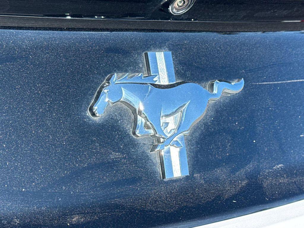 used 2015 Ford Mustang car, priced at $19,880