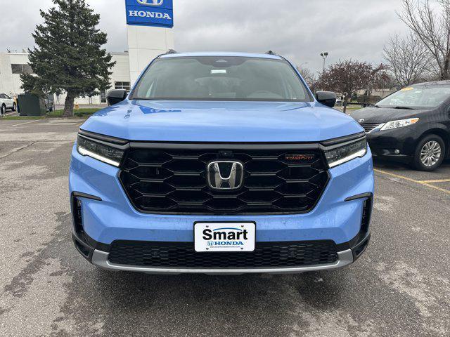 used 2024 Honda Pilot car