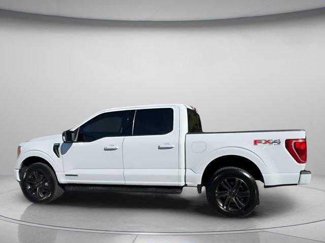 used 2021 Ford F-150 car, priced at $37,999