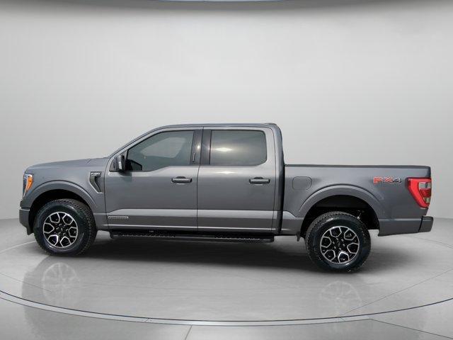 used 2023 Ford F-150 car, priced at $47,999