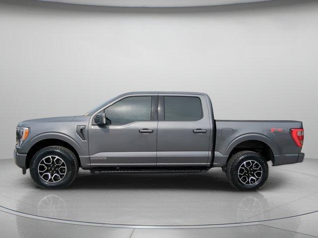 used 2023 Ford F-150 car, priced at $47,999