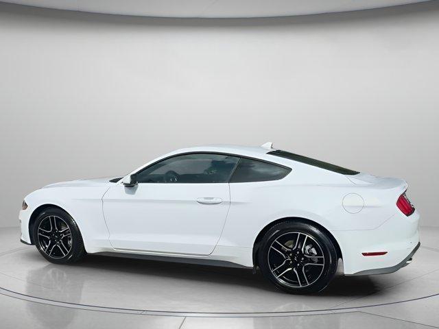 used 2022 Ford Mustang car, priced at $23,999