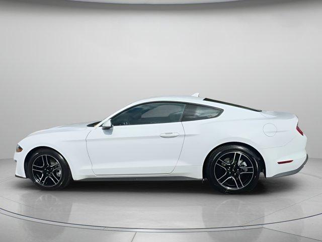 used 2022 Ford Mustang car, priced at $23,999