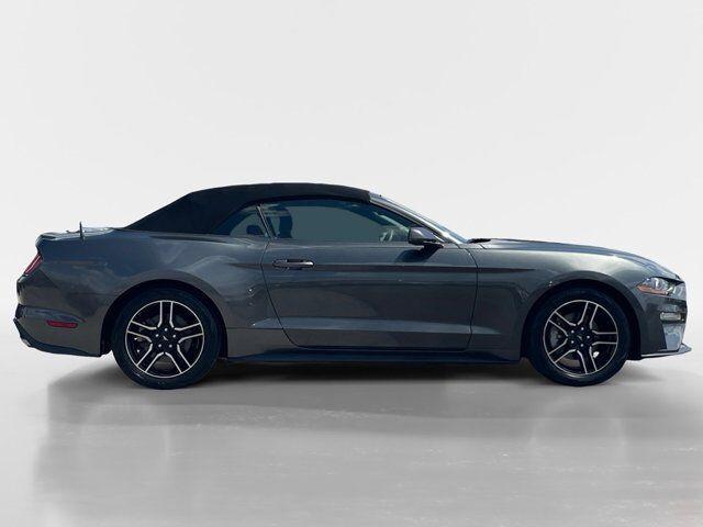 used 2019 Ford Mustang car, priced at $22,995