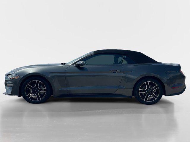 used 2019 Ford Mustang car, priced at $22,995