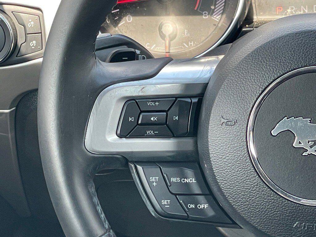 used 2019 Ford Mustang car, priced at $21,995