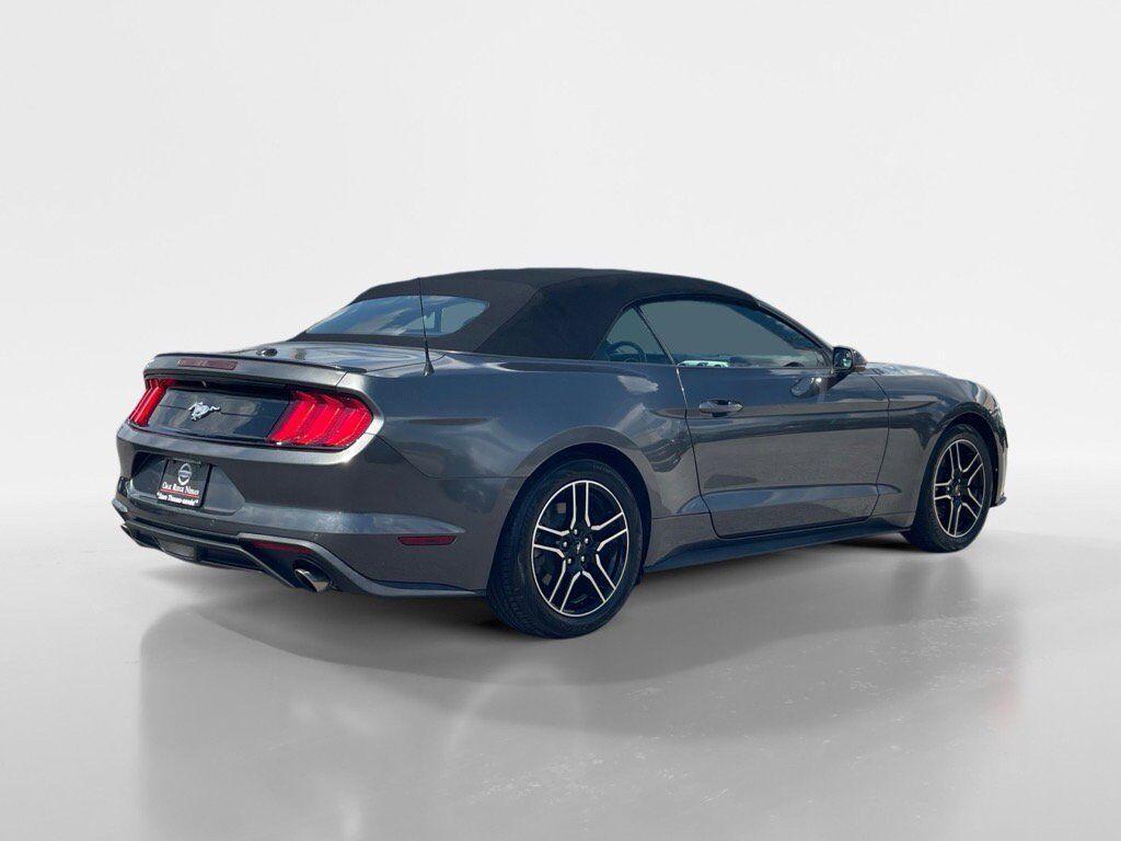 used 2019 Ford Mustang car, priced at $21,995