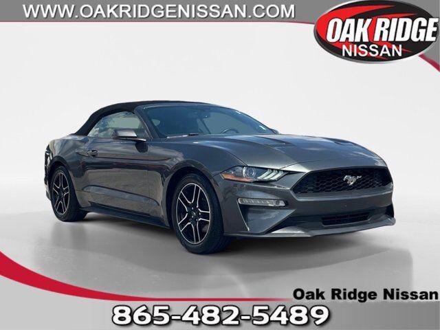 used 2019 Ford Mustang car, priced at $22,995