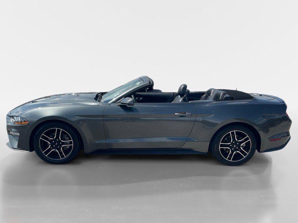 used 2019 Ford Mustang car, priced at $21,995