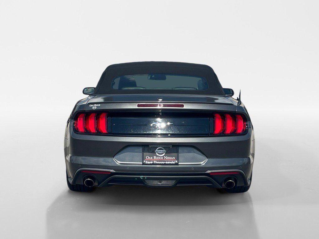 used 2019 Ford Mustang car, priced at $21,995
