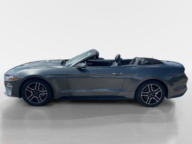 used 2019 Ford Mustang car, priced at $22,995