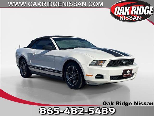 used 2010 Ford Mustang car, priced at $11,995