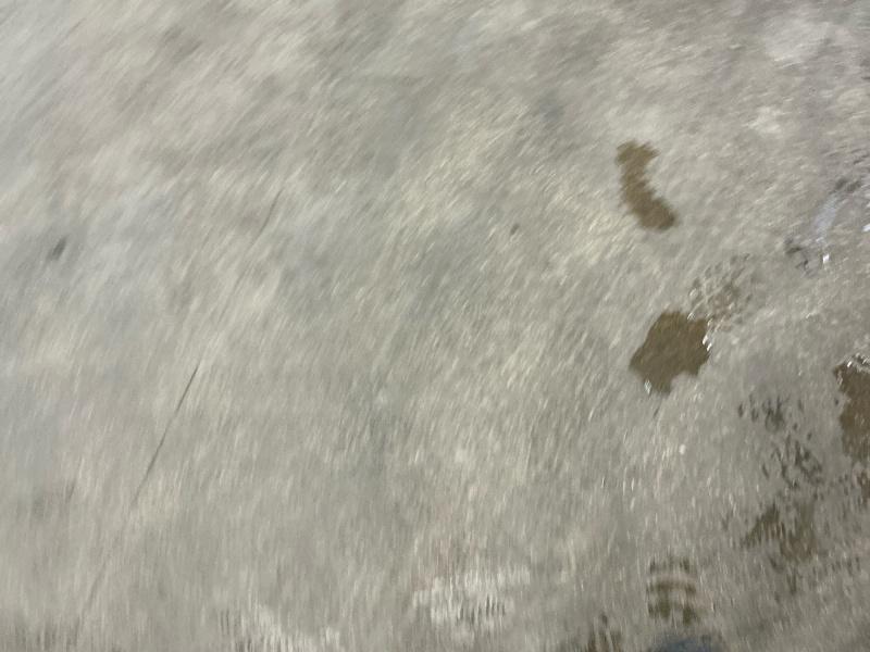 used 2014 Ford Mustang car, priced at $23,995