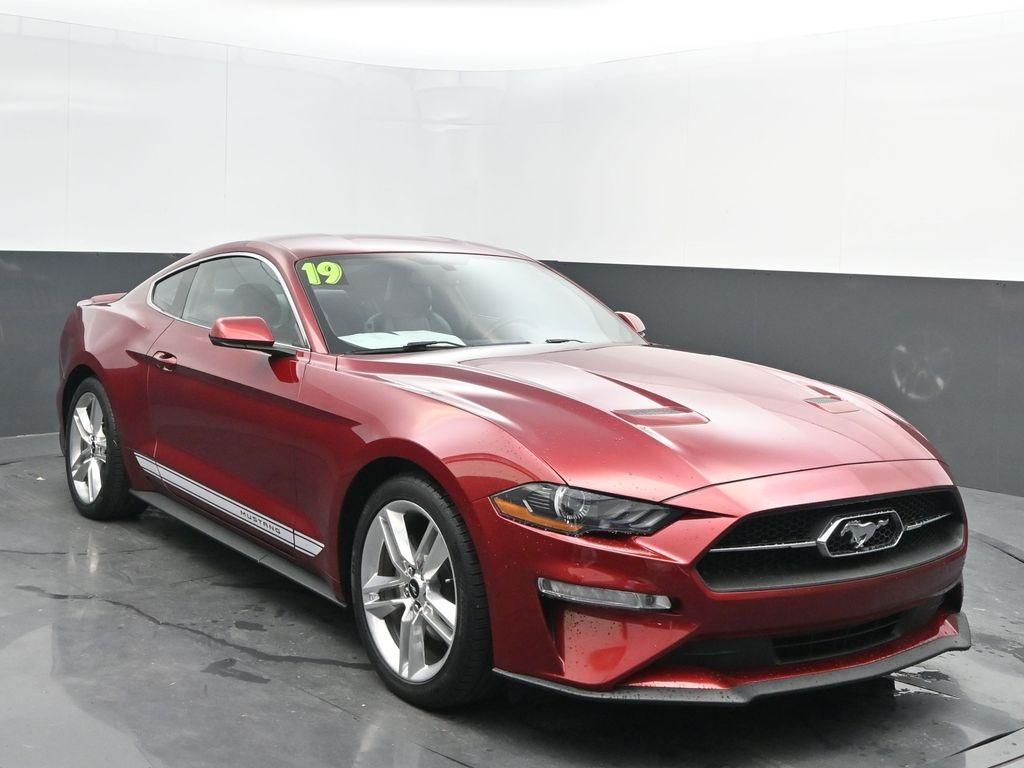 used 2019 Ford Mustang car, priced at $23,998