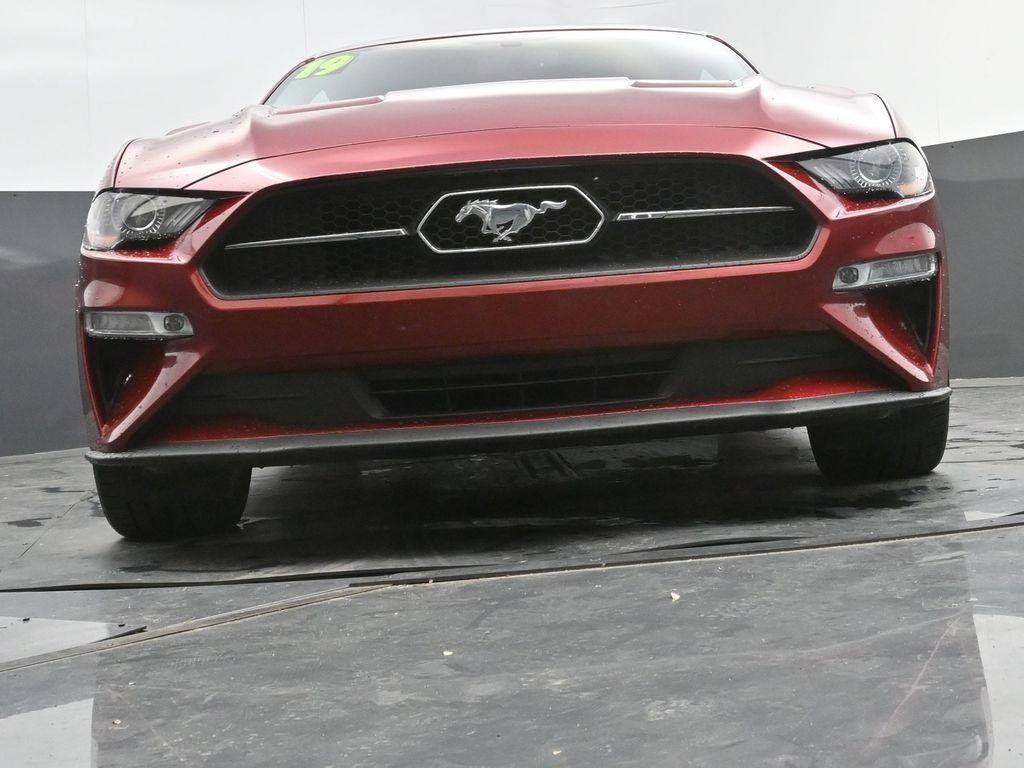 used 2019 Ford Mustang car, priced at $22,998