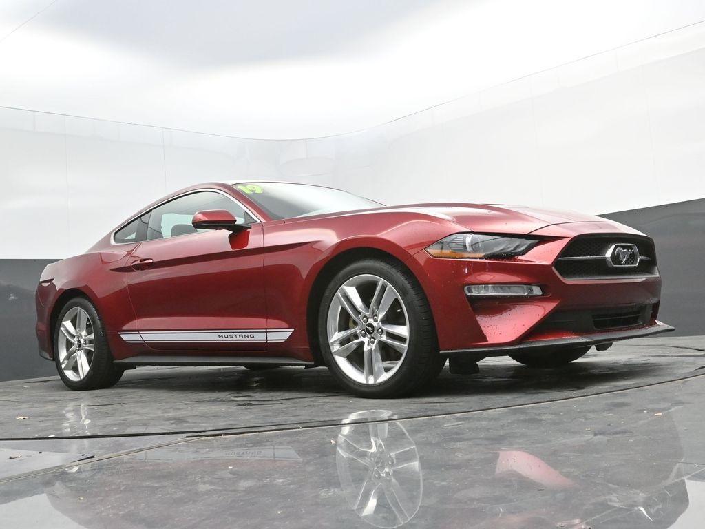 used 2019 Ford Mustang car, priced at $22,998