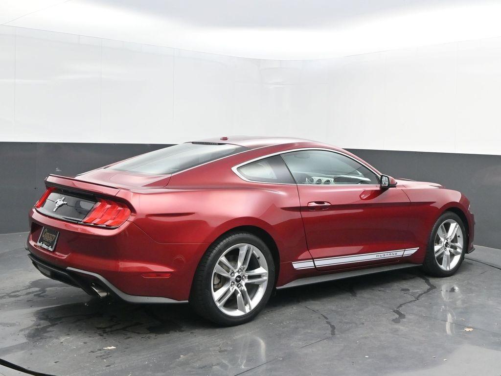 used 2019 Ford Mustang car, priced at $22,998