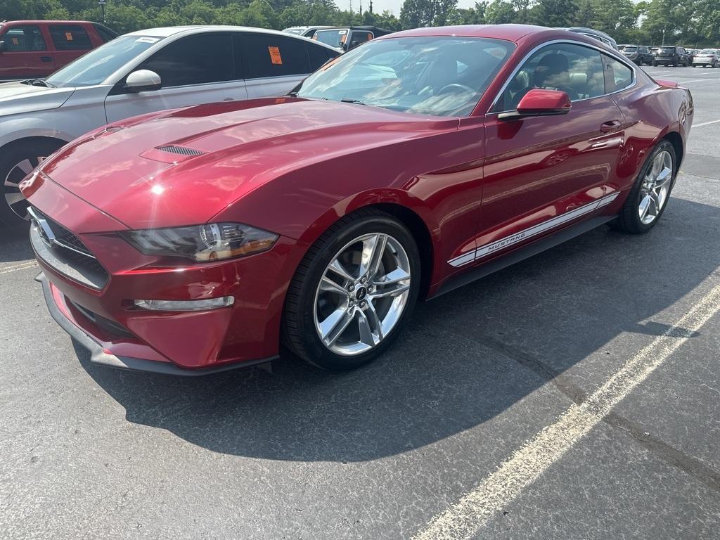 used 2019 Ford Mustang car, priced at $24,599