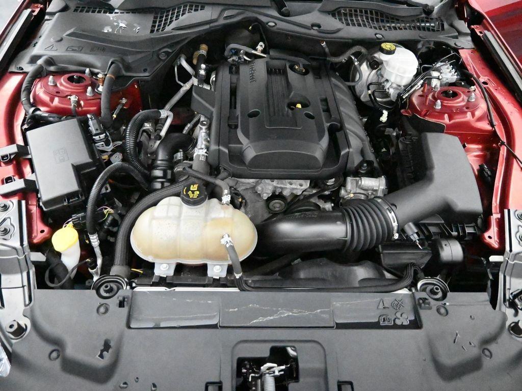 used 2019 Ford Mustang car, priced at $22,998